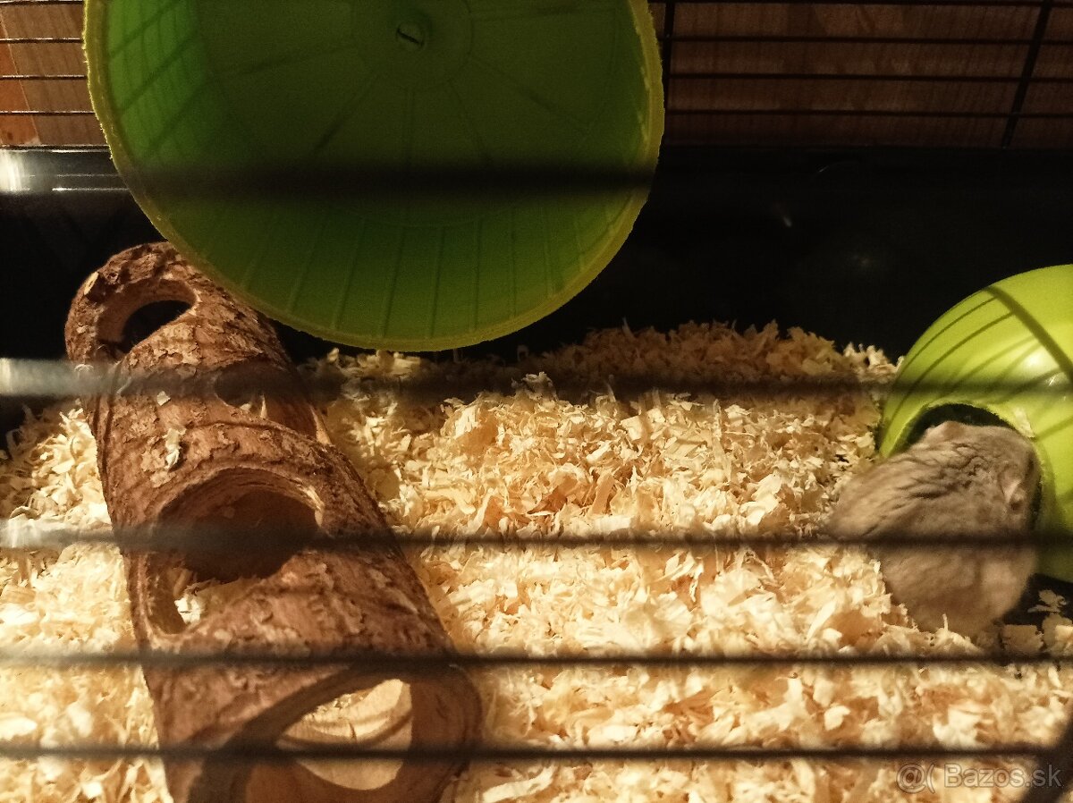 Predávam škrečka😀 - 2