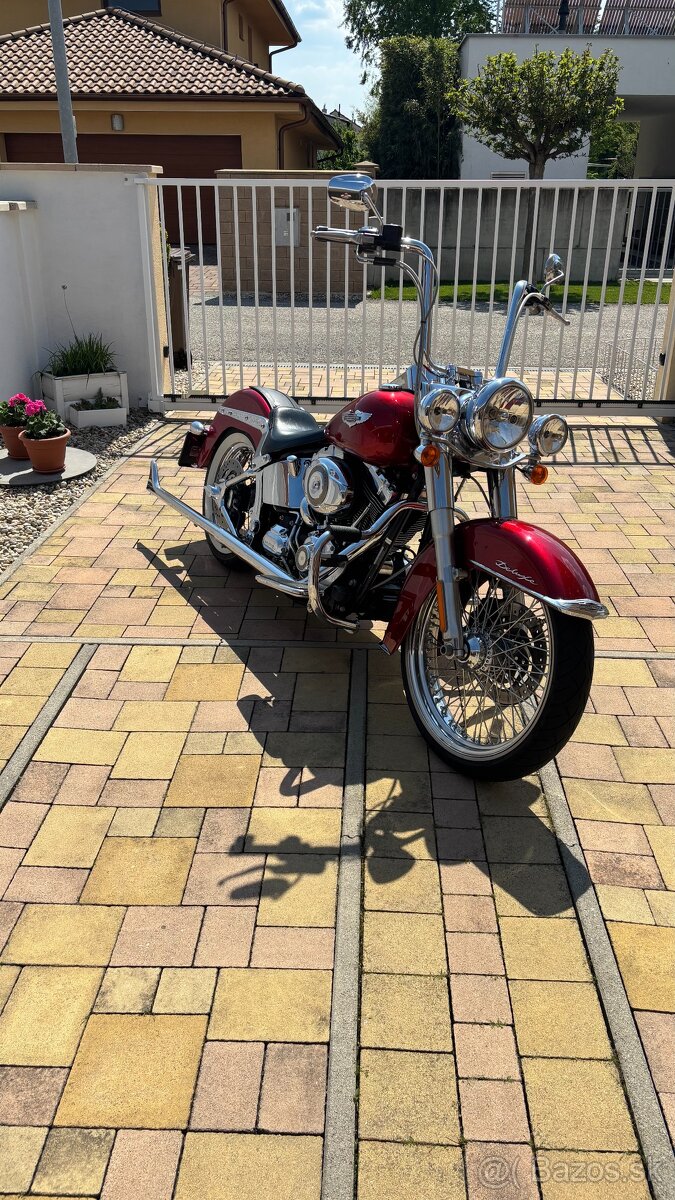 Harley Davidson - Softail Deluxe - chicano - 2