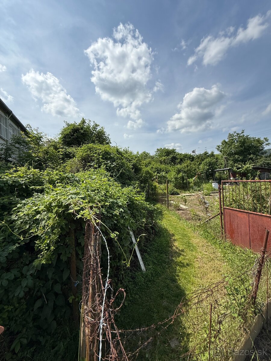 Záhrada na pestovanie nedaleko Námestia Biely kríž - 2