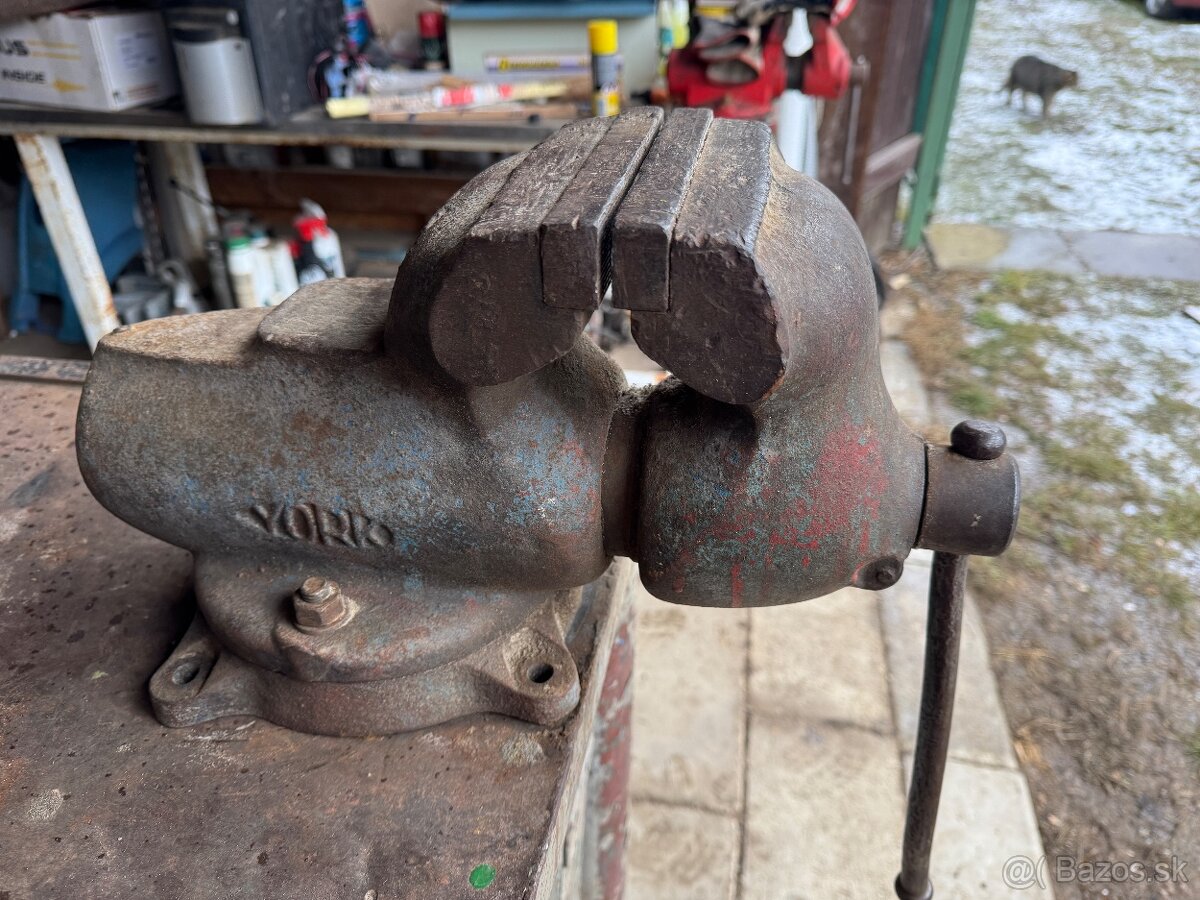 zverák york 150 - 2