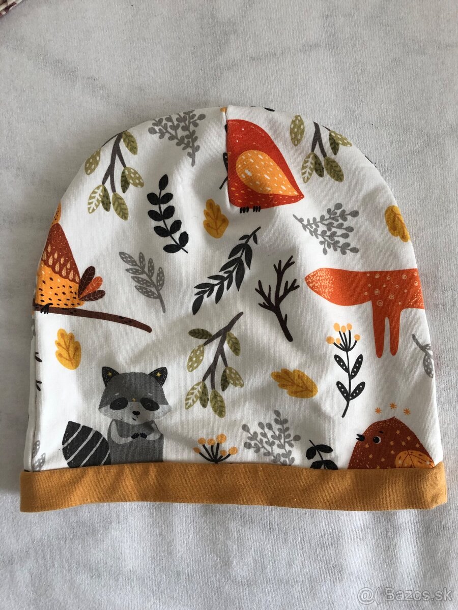 Prechodne ciapky - 2