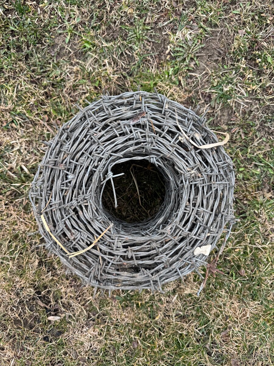Ostnaty drôt - 2