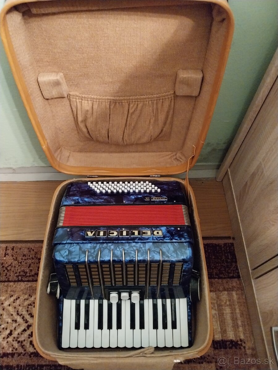 Akordeón (60 basový) - 2