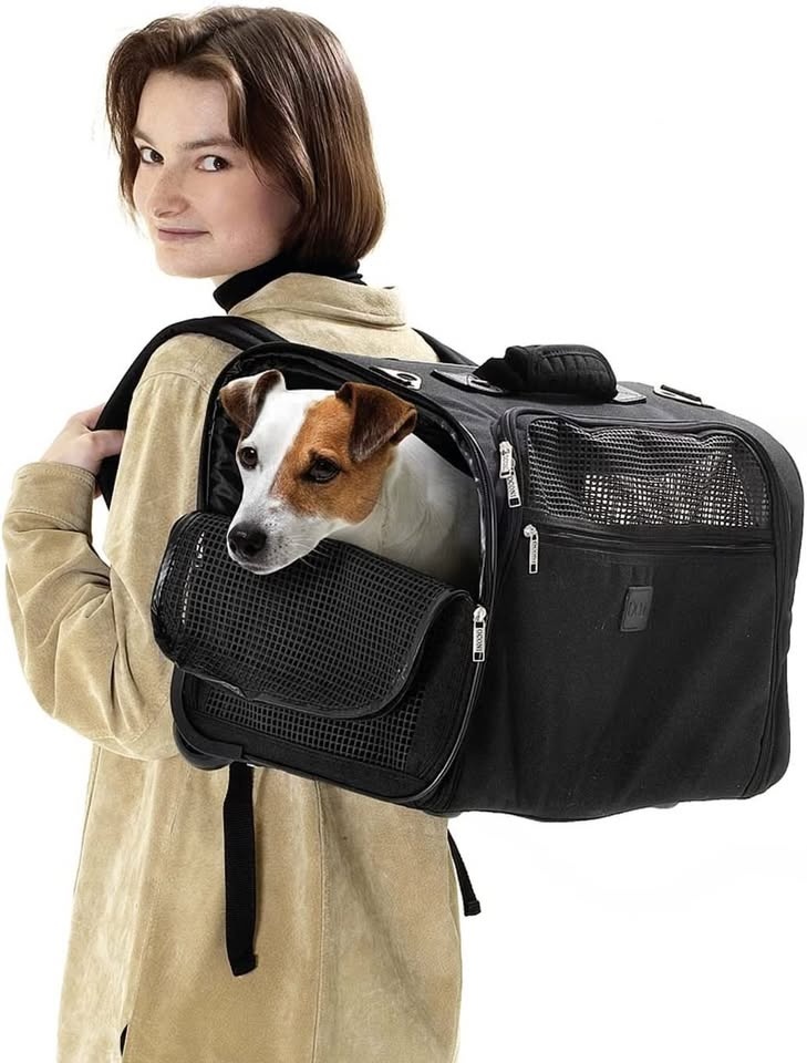 Prepravka pre psa, mačku - Karlie SMART TROLLEY - 2