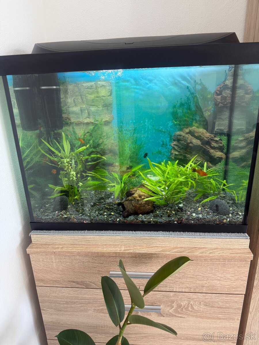 Akvárium 120L - 2