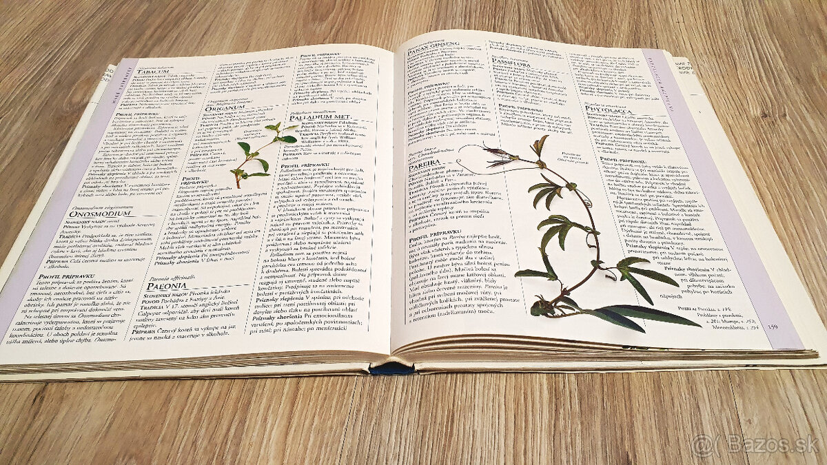 Encyklopédia homeopatie - 2