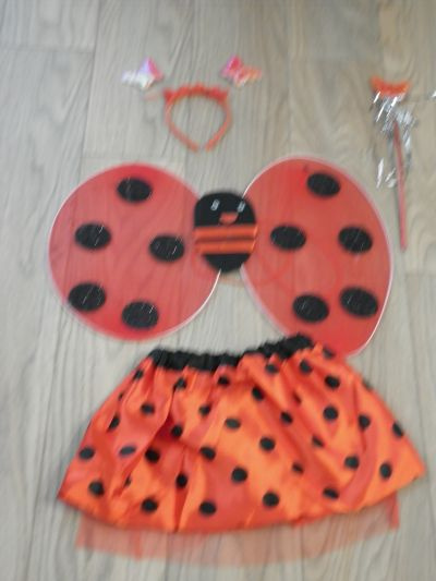 Lienka karnevalový kostým - 2