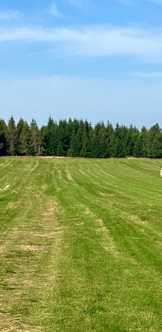 POZEMOK 1010 v s TOP Výhľadom na Tatry, TTP, Rovina - 2