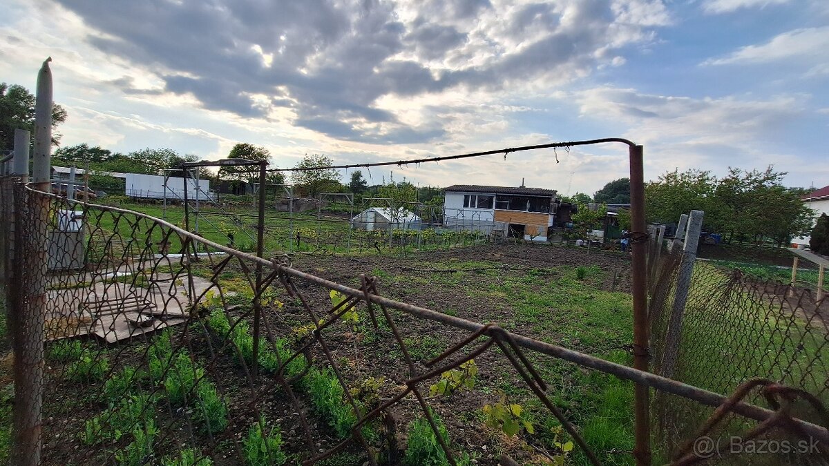 ‼️AKCIA‼️Predám zahradu s chatou v Štúrove na sutoku Dunaja - 2