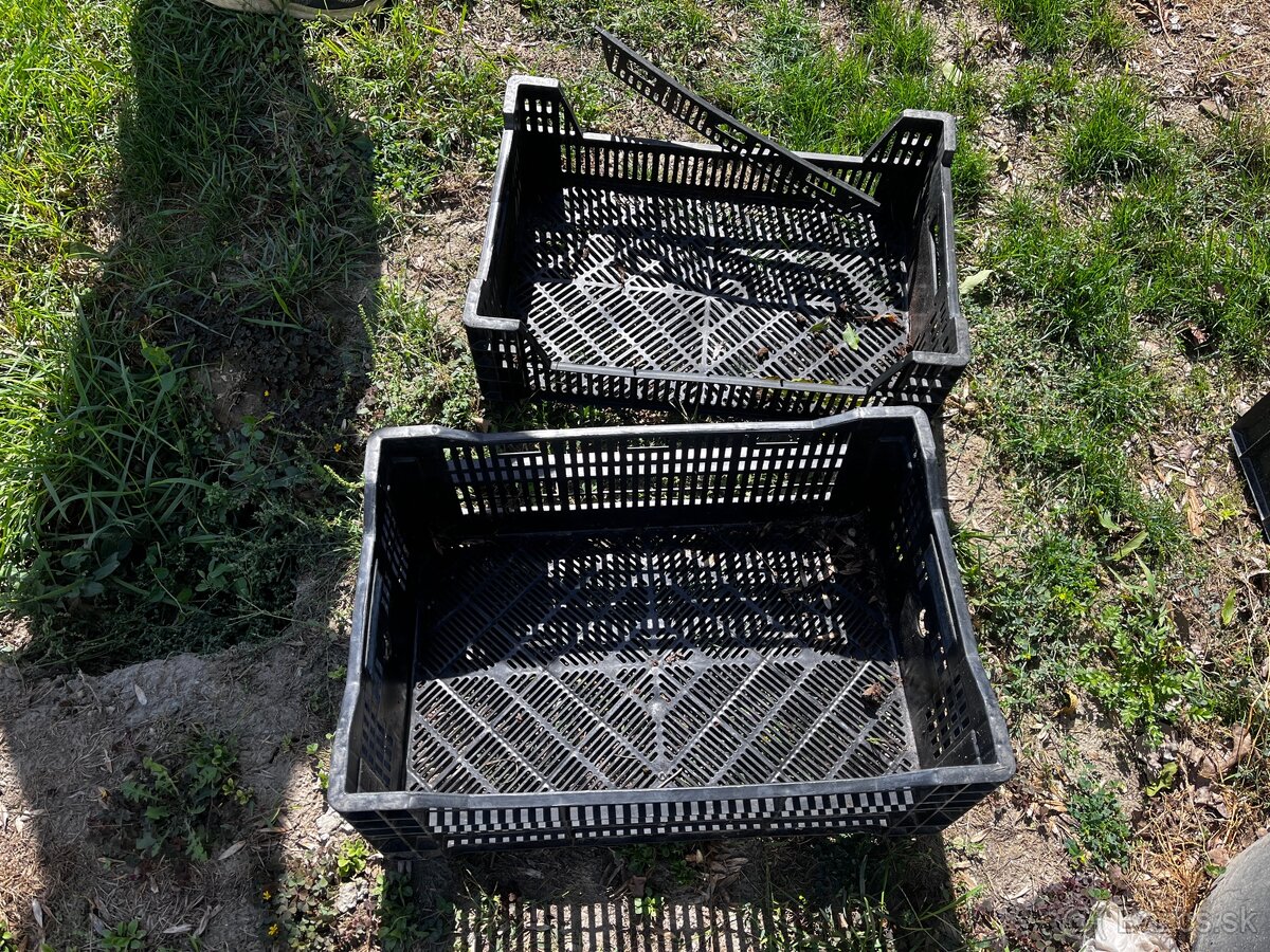 Plastové bedničky - 2