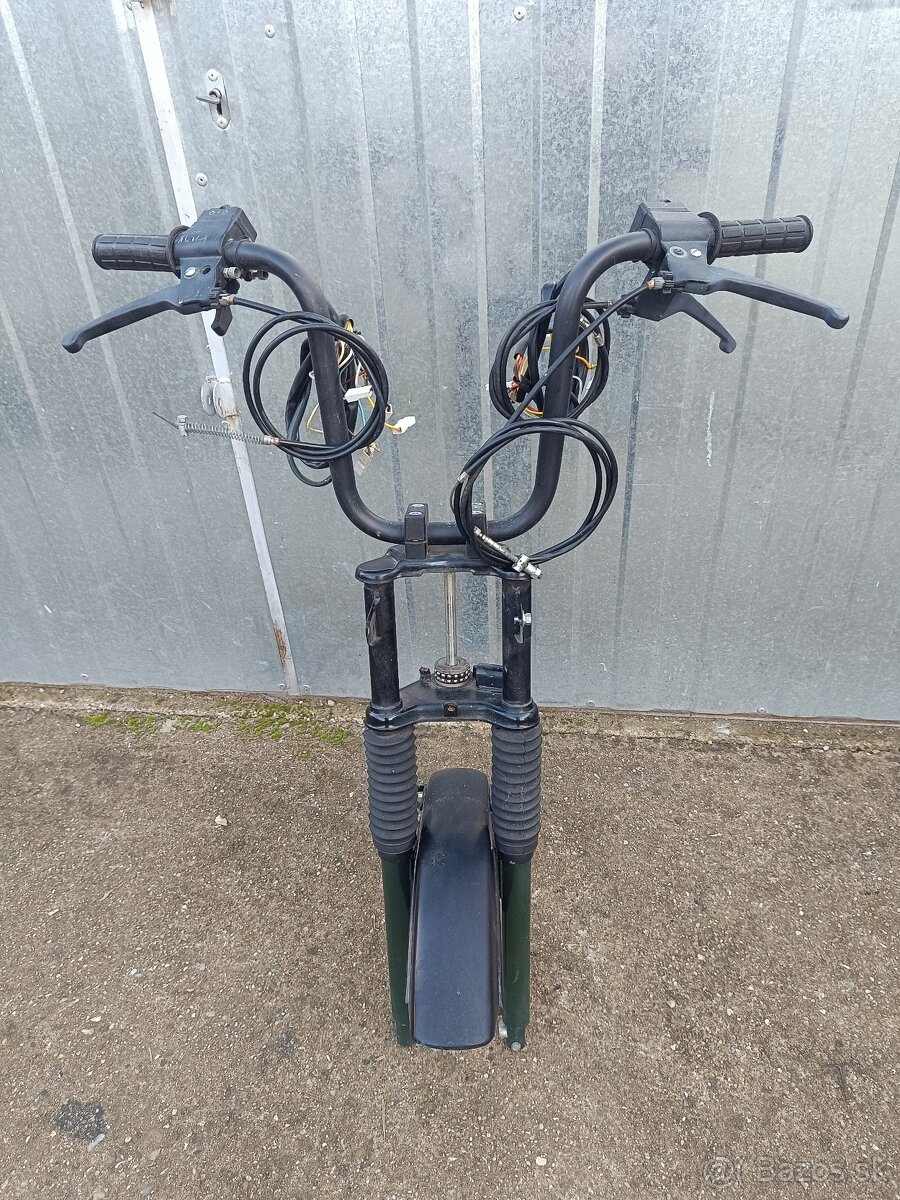 Predok manet Korado - 2