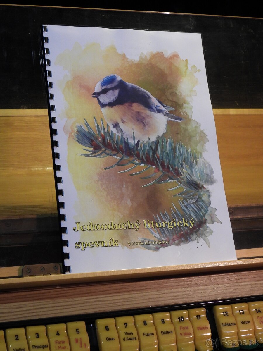 Jednoduchý liturgický spevník - Komplet - 2