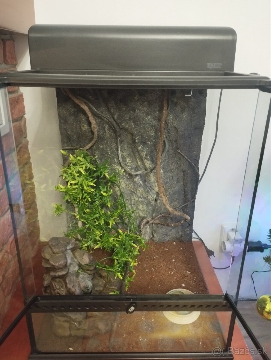 Terárium Ekoterra - 2
