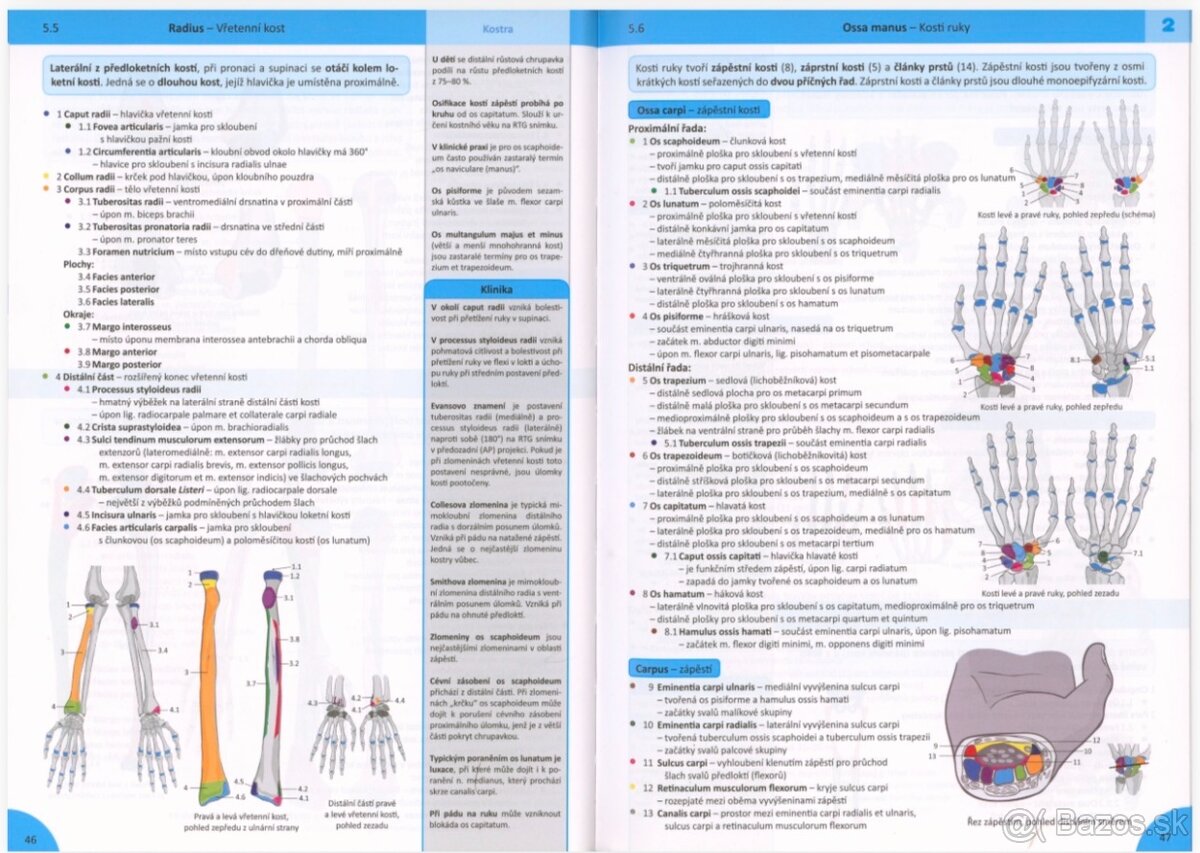 Anatomické knihy pre medikov - 2