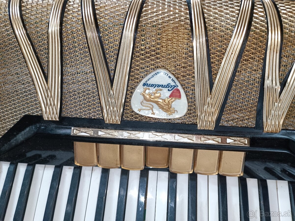 Akordeón Delicia Lignatone melodia - 2