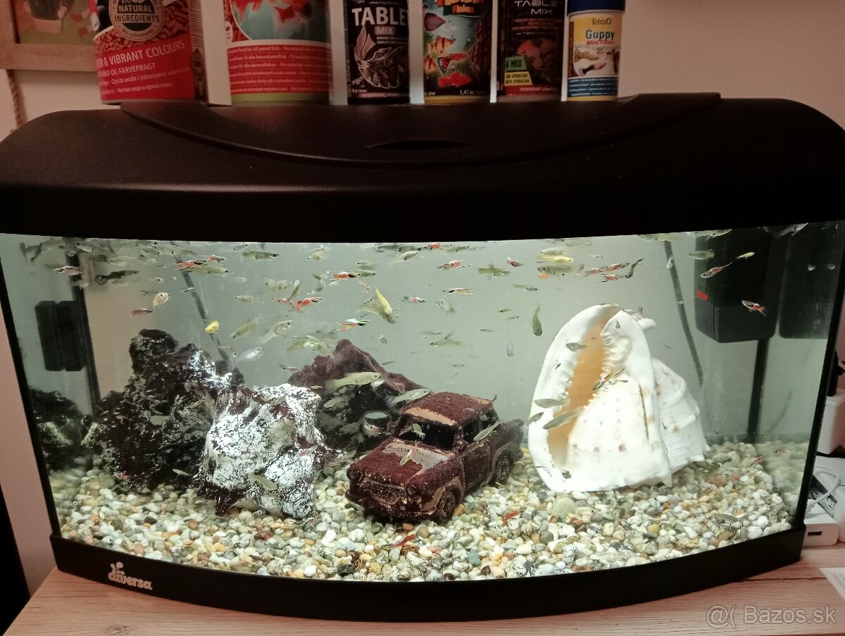 Akvárium - 2