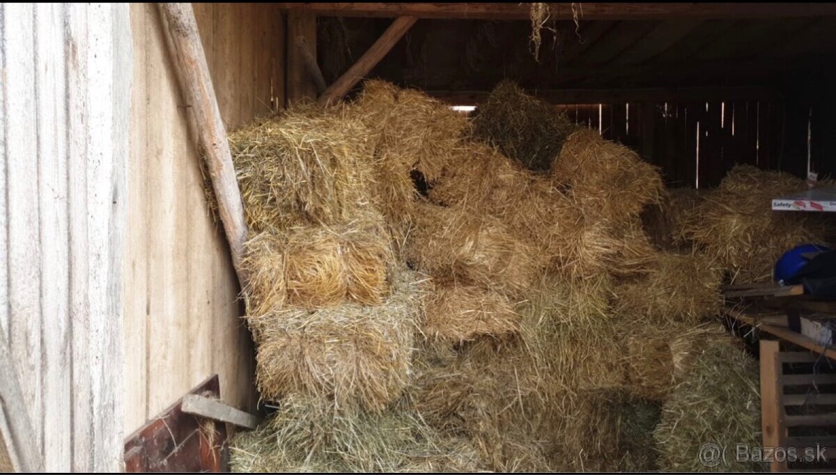 Predam seno v malych balikoch - 2