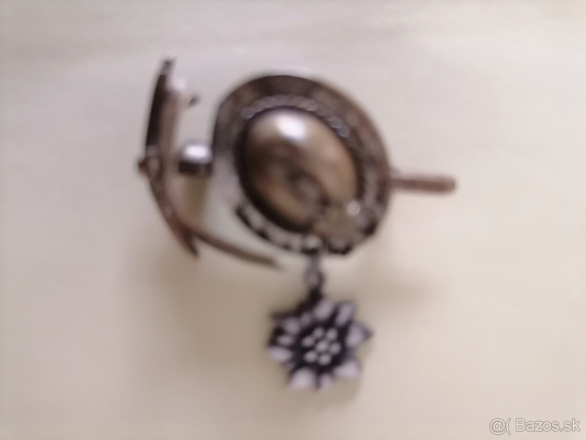 Predam starý odznak alpska protež Edelweiss - 2