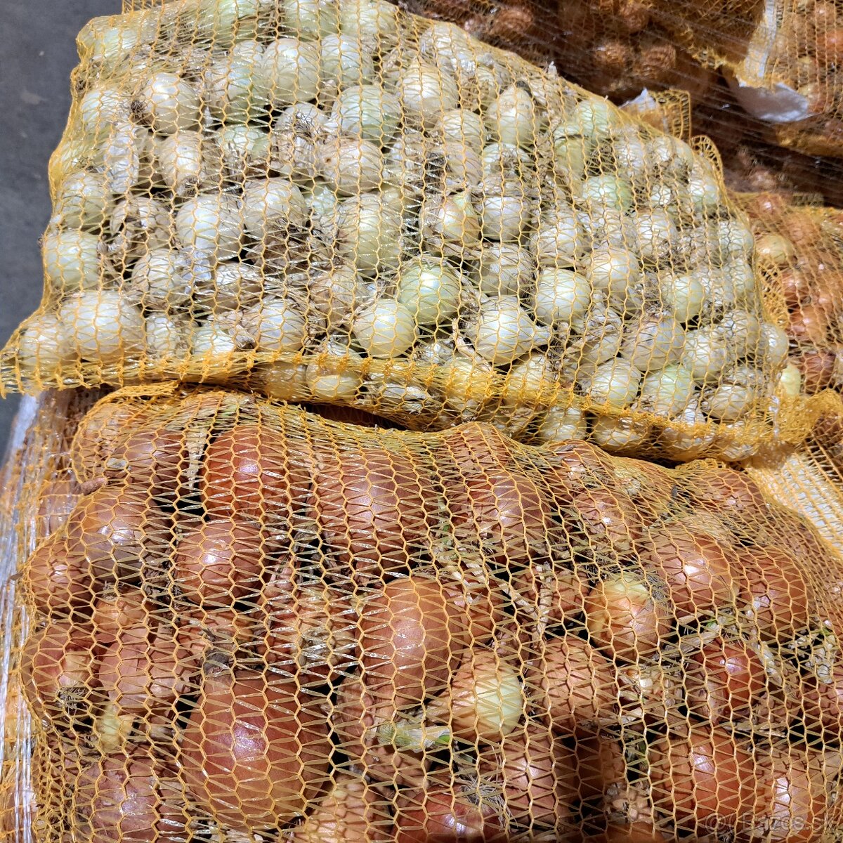 PREDÁM CIBUĽU a ZEMIAKY - 2