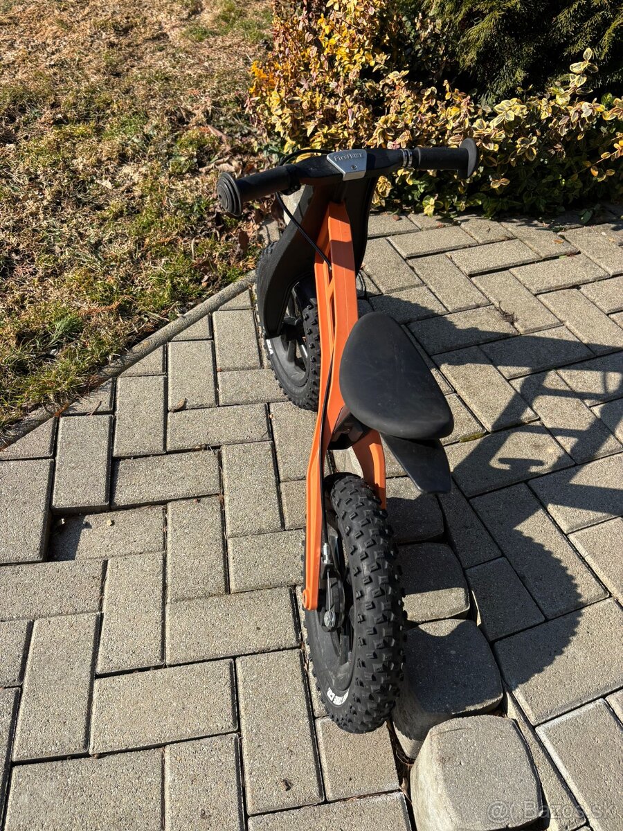 Odrážadlo FirstBIKE FAT EDITION - 2