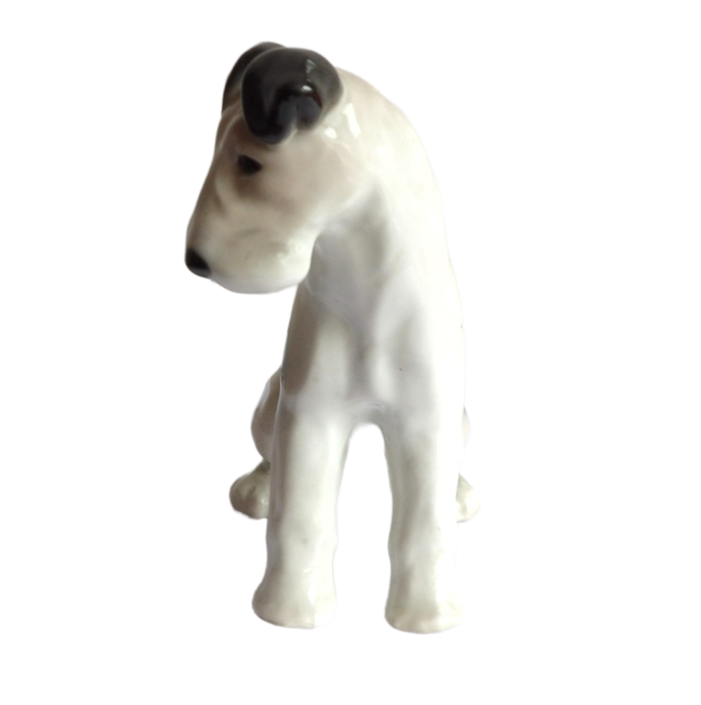 Foxteriér - Německo - Gotha - 2