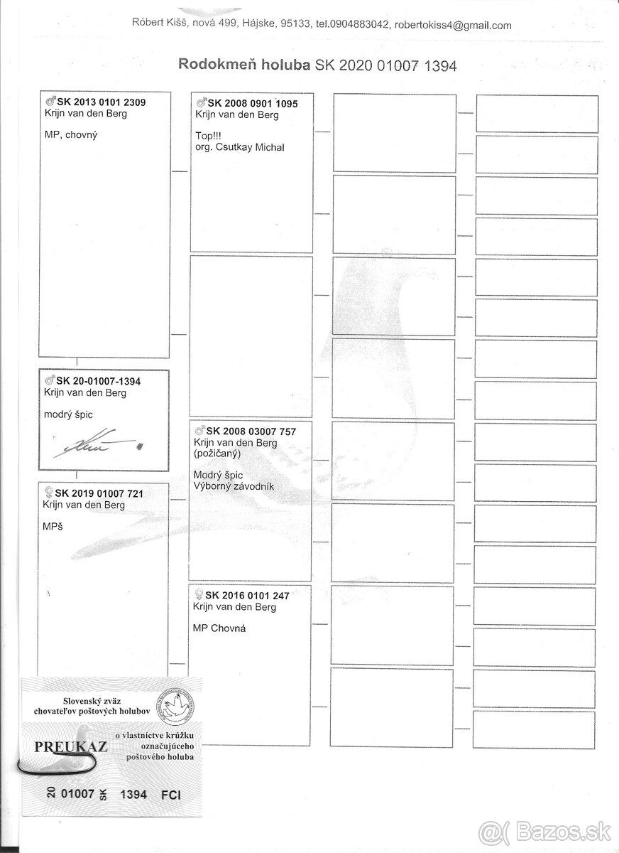Poštové holuby - 2