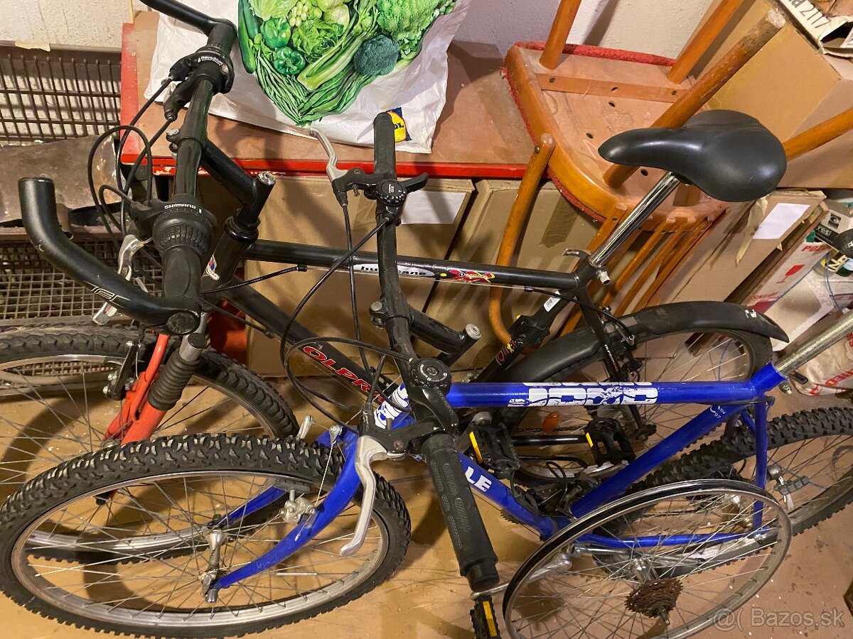 2xhorsky bicykel - 2