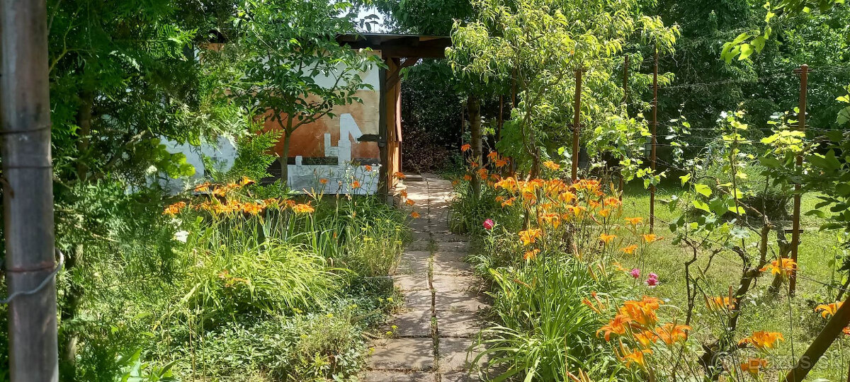 Záhradka v Seredi - 2