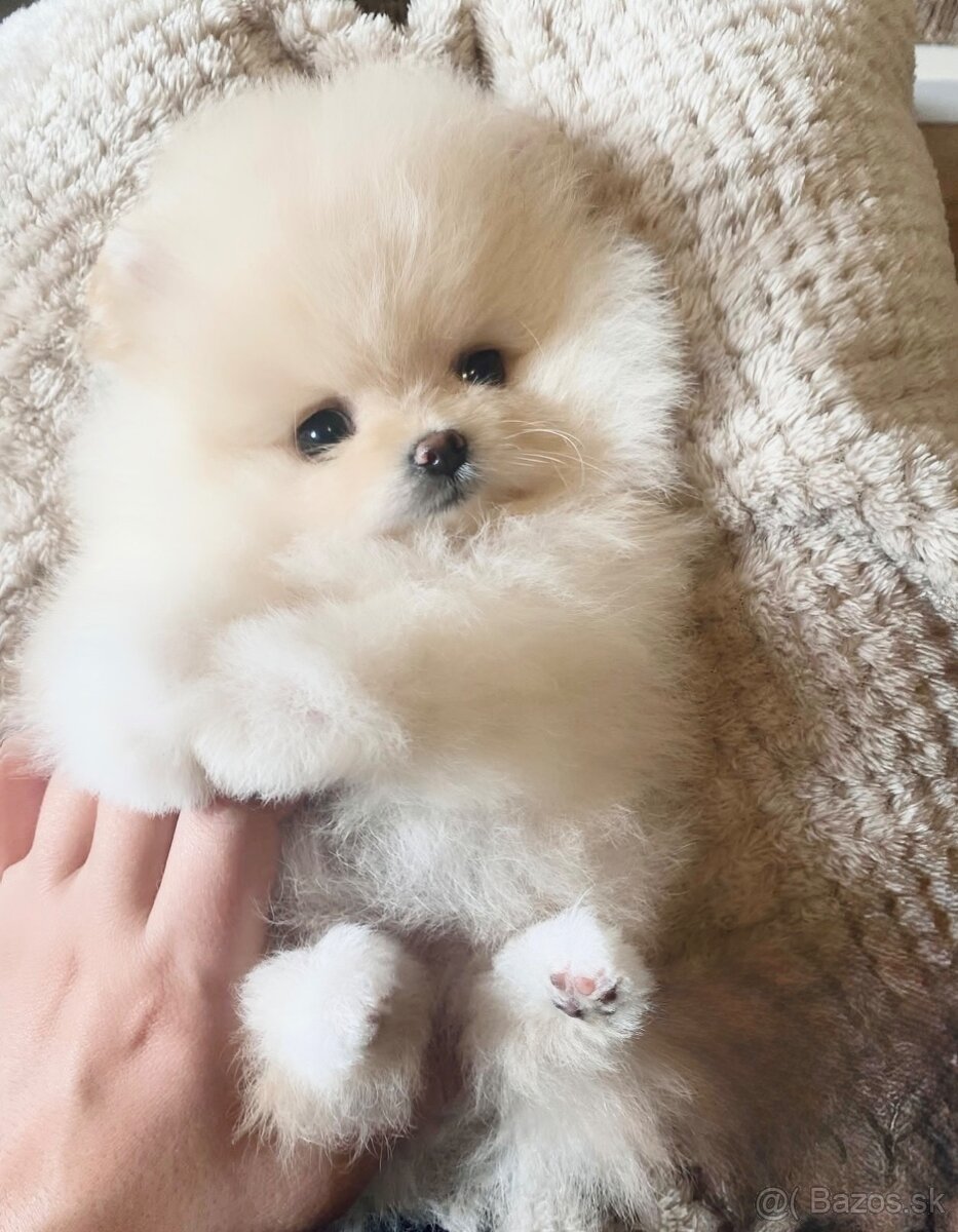 Rozkošná princezná DeLuxe 🎀 - 2