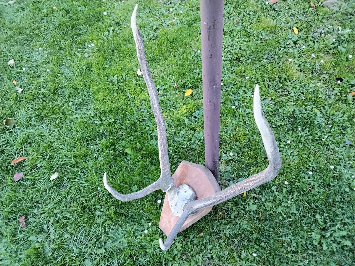 Parohy, trofej na drev.doske - 2