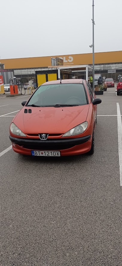 Peugeot 206 pri BA - 2