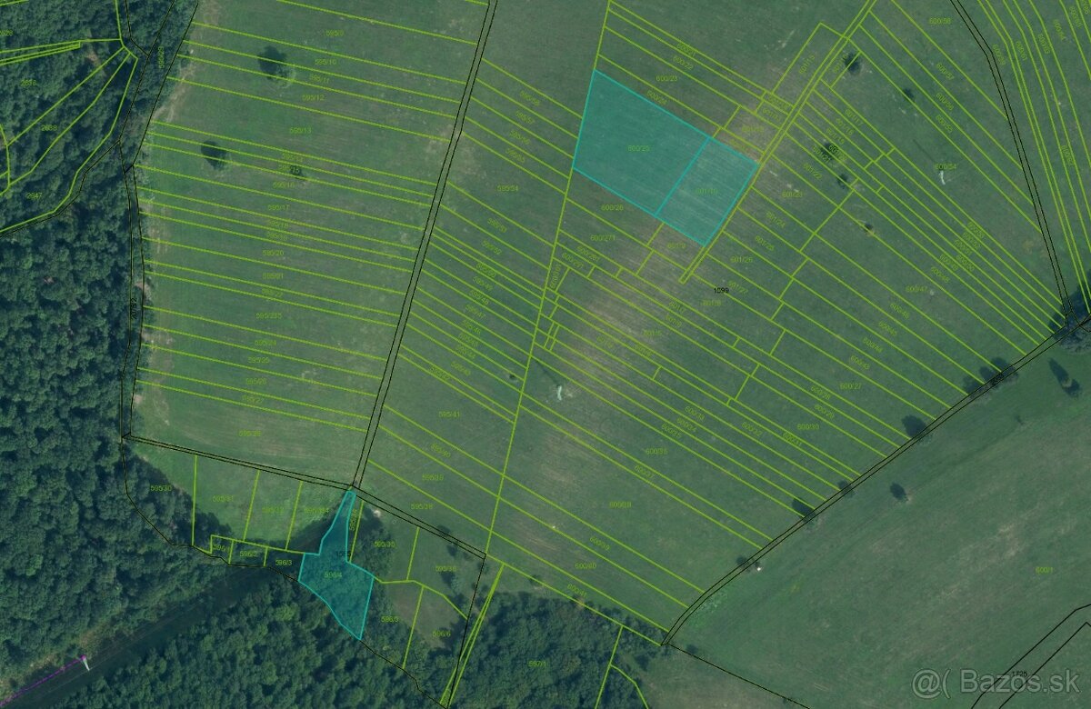 Veľký Blh - 503 m2 PÔDA a LESY – PREDAJ - 2