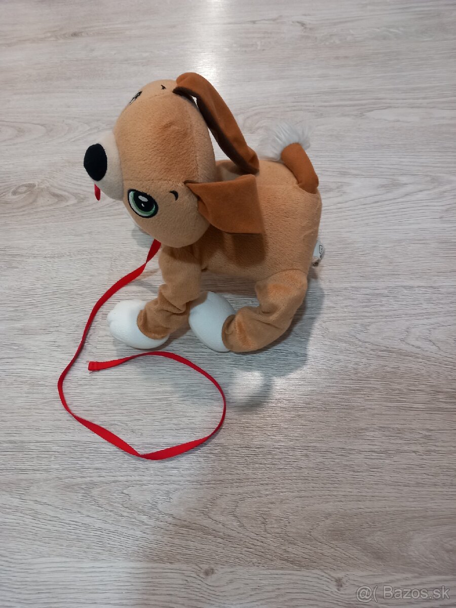 Predám floppy psa - 2