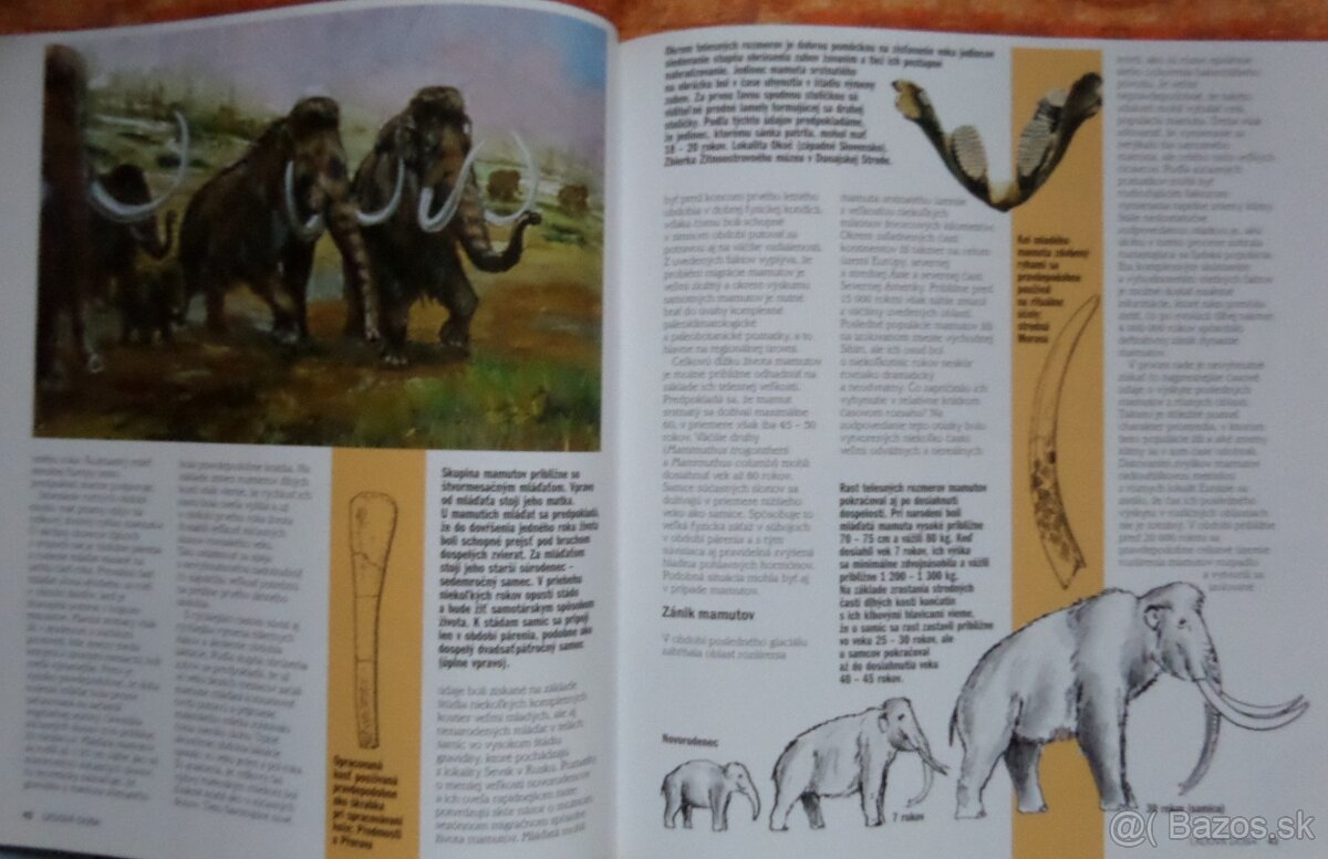 Lovci mamutov - 2