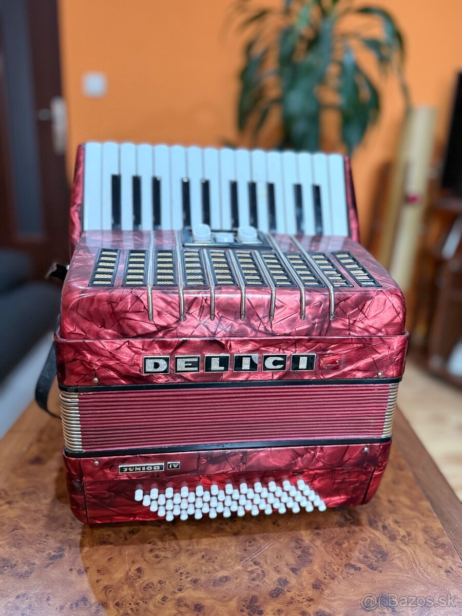 Akordeón Delicia Junior IV - 2
