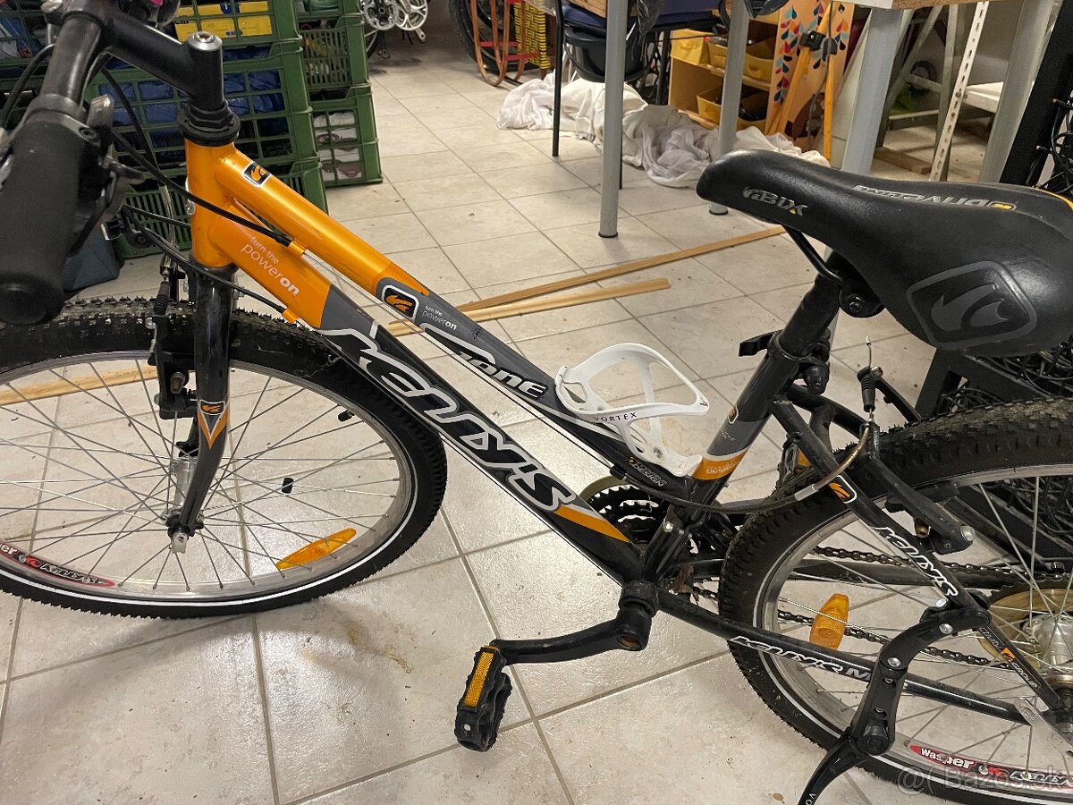 Kellys Jane Junior - 2