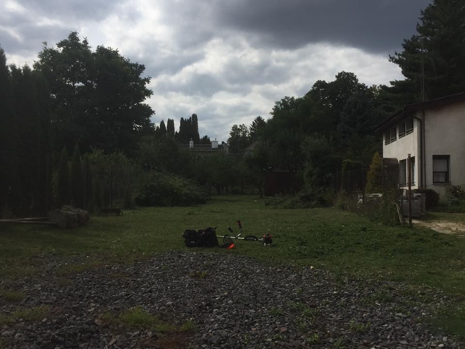 Čistenie a úpravy pozemkov - 2