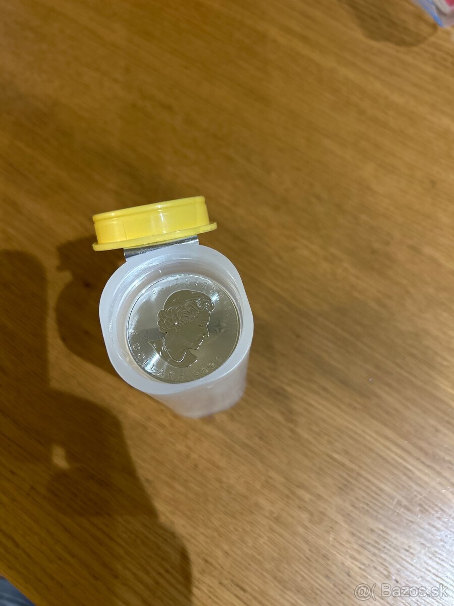 Strieborne mince 1oz - 2