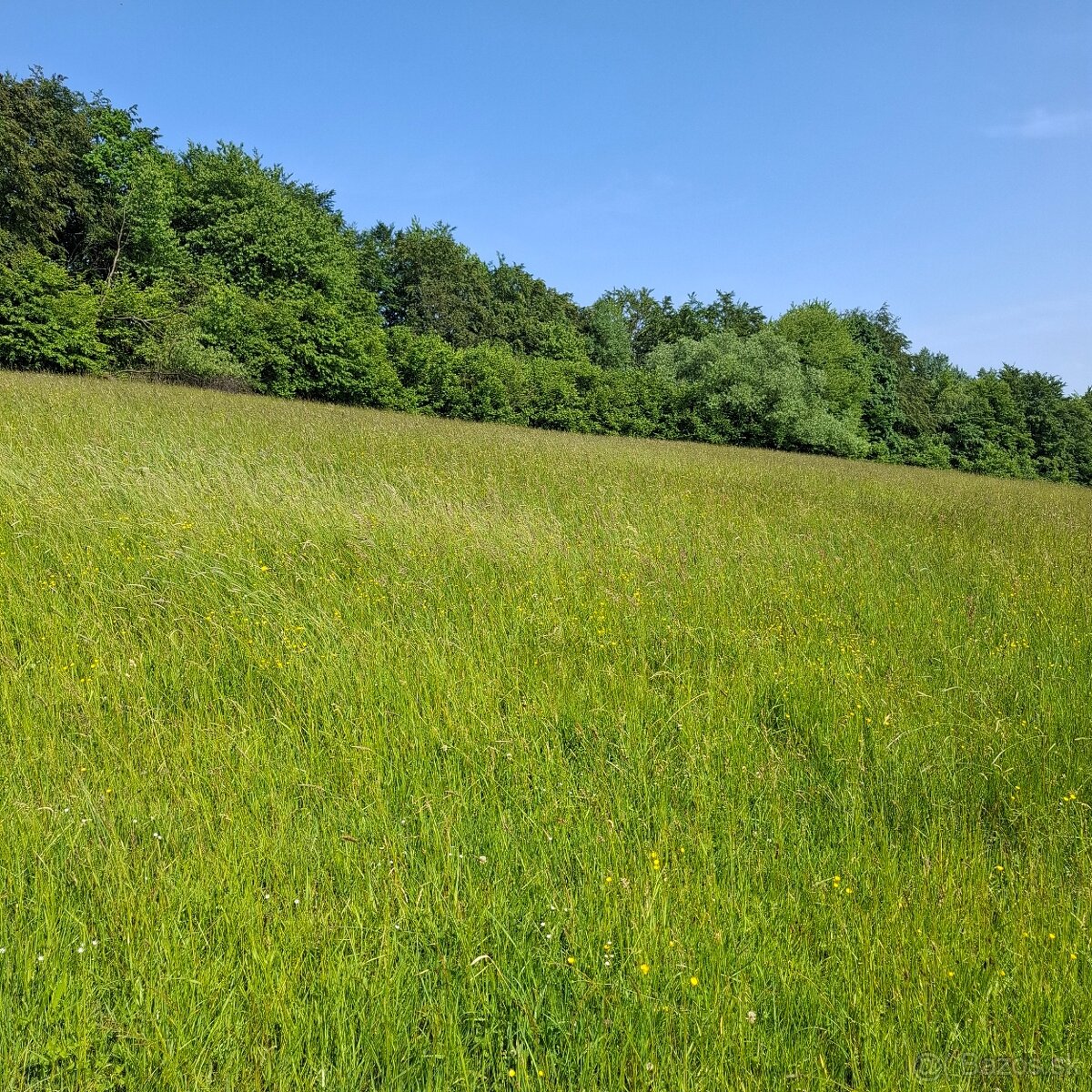 POZEMOK NA VÝSTAVBU REKREAČNEJ CHATY-REGETOVKA - 2