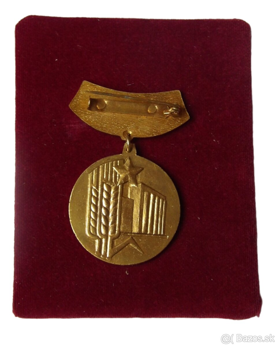Medaile - Vynikající pracovník - 2