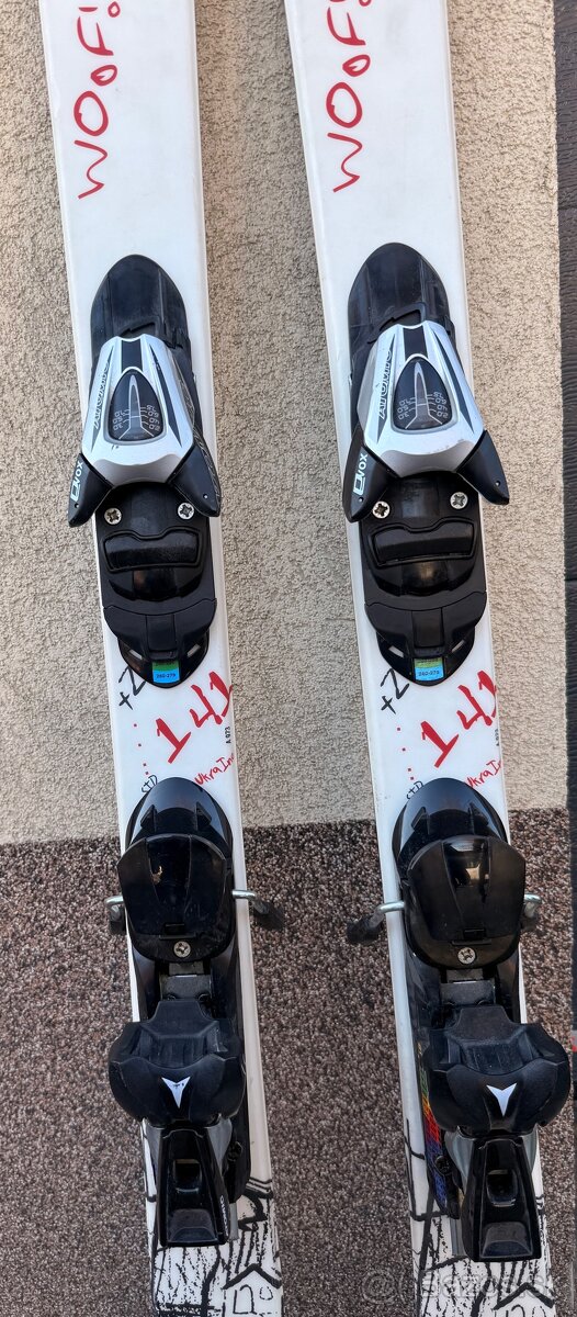 predám lyže značky Solomon - 2