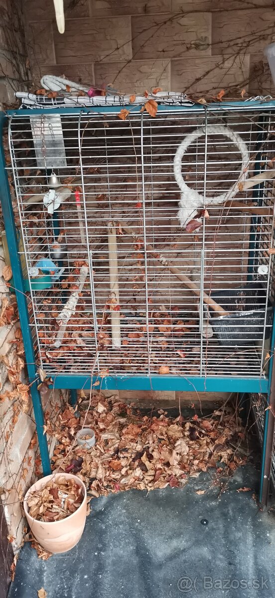 Predám klietku pre vtáctvo. - 2