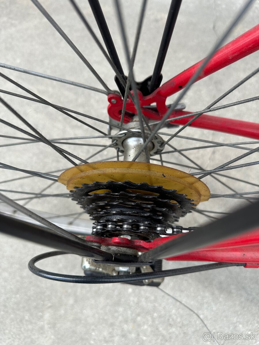 Bicykel Vector - 2