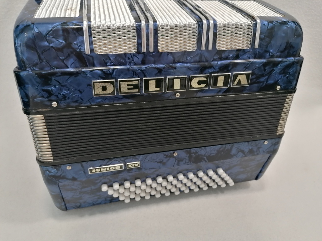 akordeon delicia junior 60 basovy - 2