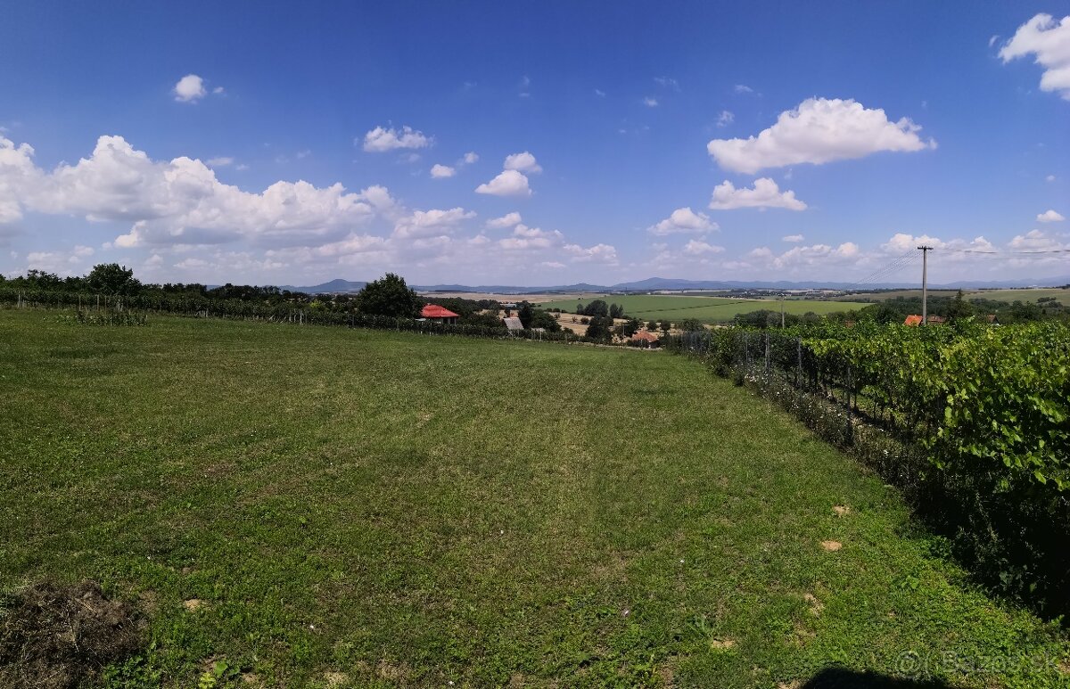 Vinica s hajlochom, Vrable - 2