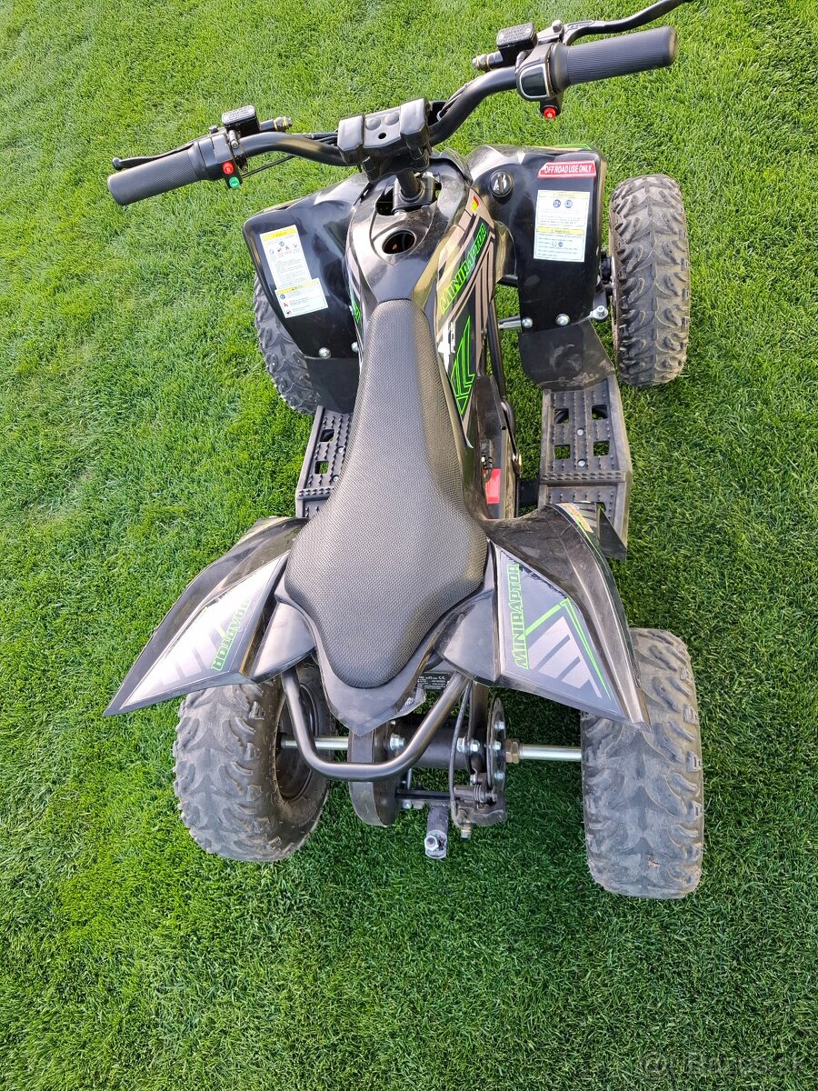 Mini raptor 1200w - 2