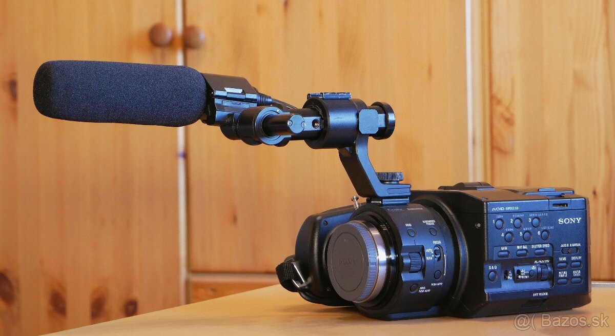Sony NEX FS-100 - 2