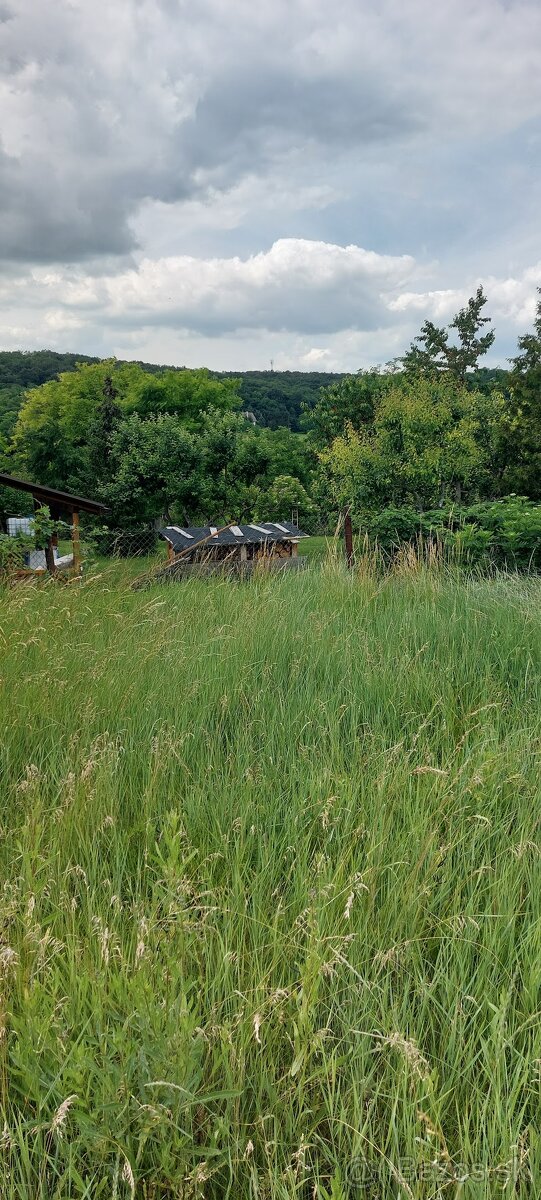 Čechy - Podhájska - 2