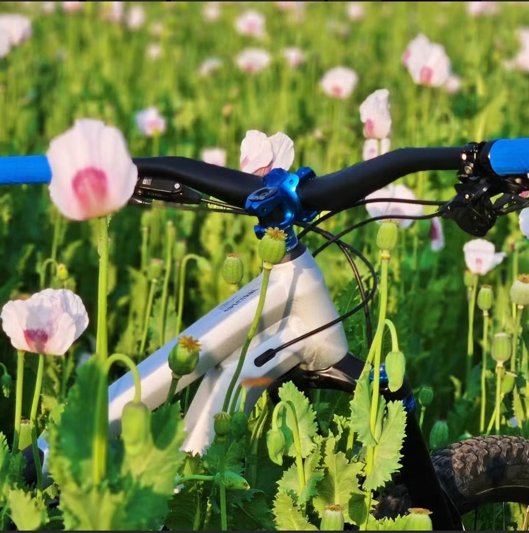 Canynon Spectral 27,5 - 2