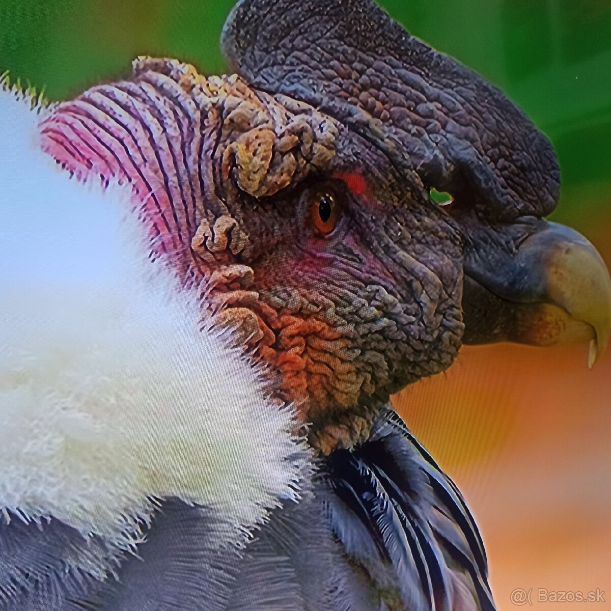 Samsung Led,LCD smart tv 4k 49(123cm) - 2